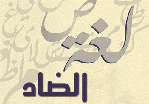 نجاح حلاس يكتب: لغتنا العربية تتحدى دعوات الغرب