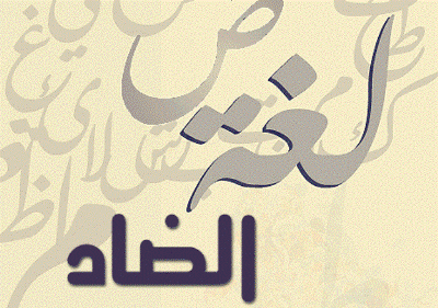 “اللغة العربية أولاً”.. مبادرة قطرية لنشر “الفُصحى”